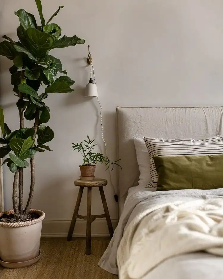 Neutral bedroom with a large fiddle leaf fig plant and small bedside plant