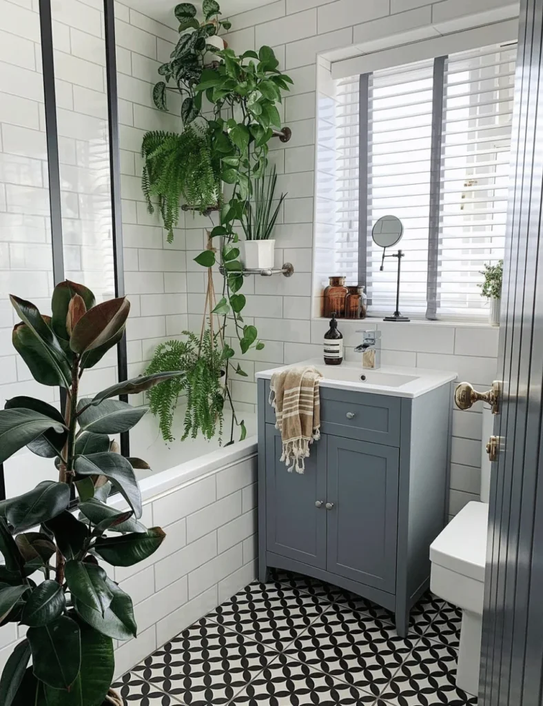 bathroom plants