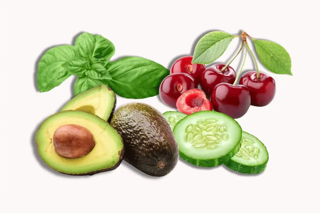 Alkaline Smoothie Recipes