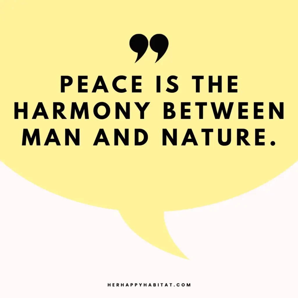 Peace Captions For Instagram