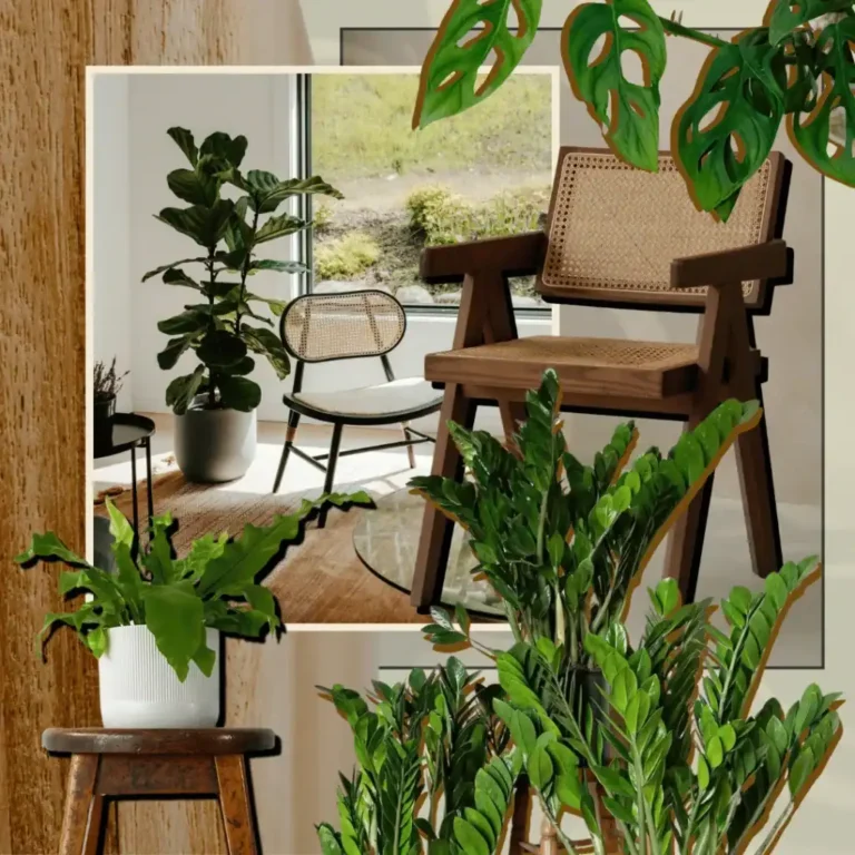 best-japandi-plants
