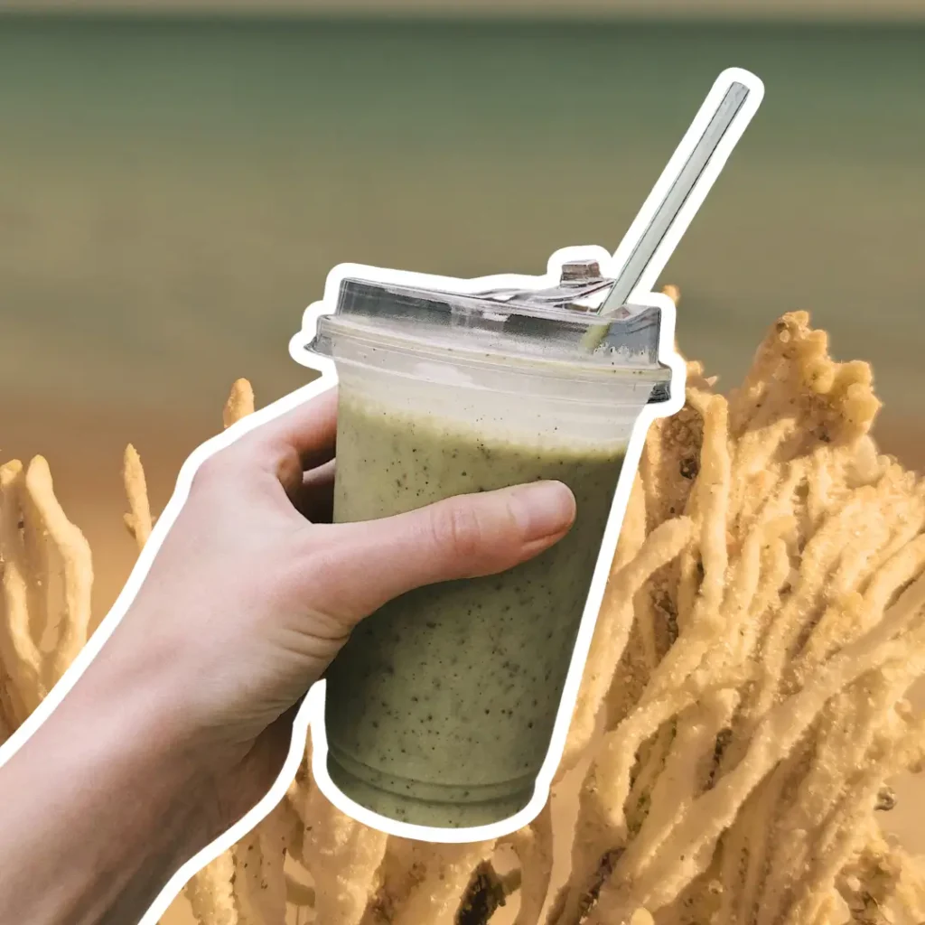 SEA MOSS SMOOTHIE RECIPES (2)