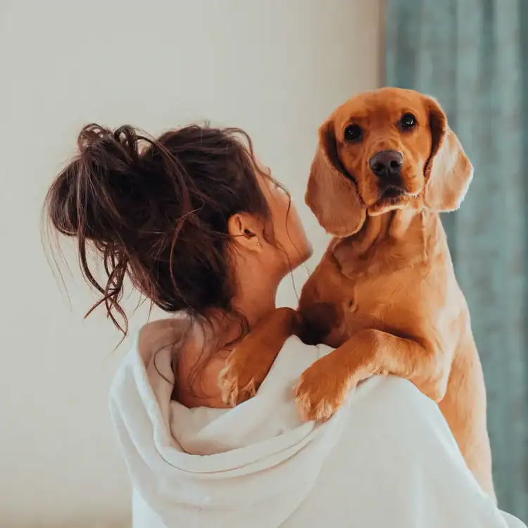 A-Dog-Getting-Carried-by-its-Owner