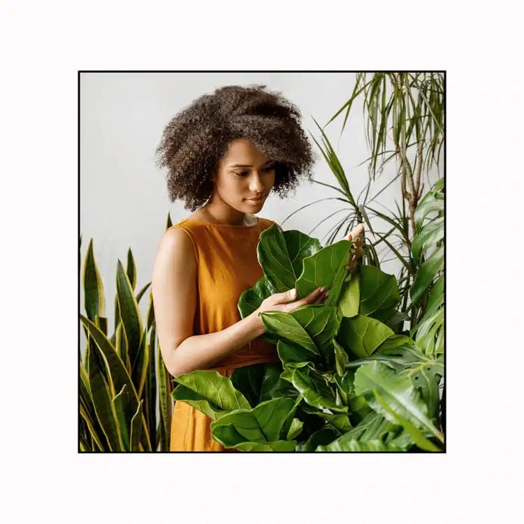 Woman with afro holding plants