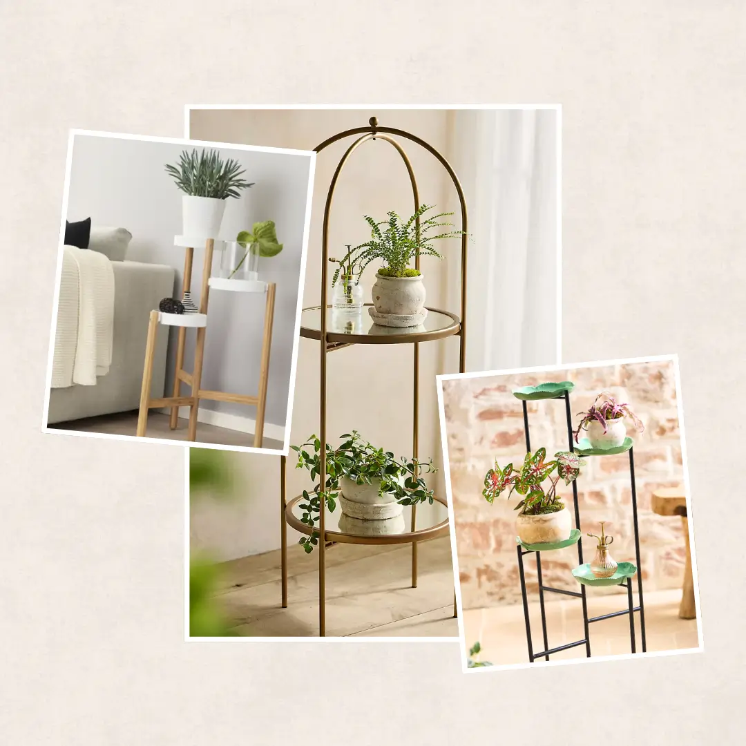 Indoor Plant Stands For Multiple Plants