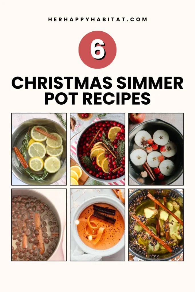 Christmas Simmer Pot Recipes