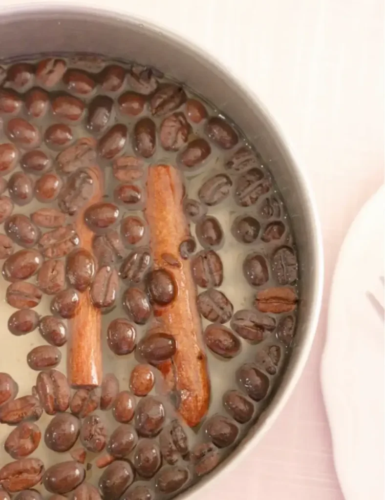 Cinnamon Hazelnut Coffee Simmer Pot. Christmas Simmer Pot Recipes