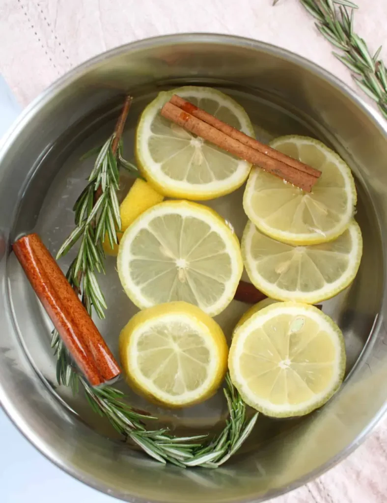 Lemon Rosemary and Cinnamon Simmering Pot. Christmas Simmer Pot Recipes