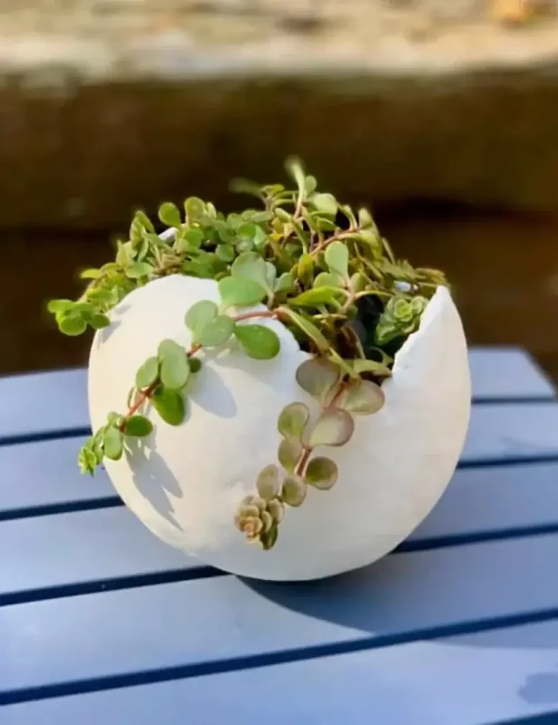 DIY Clay Balloon Planter