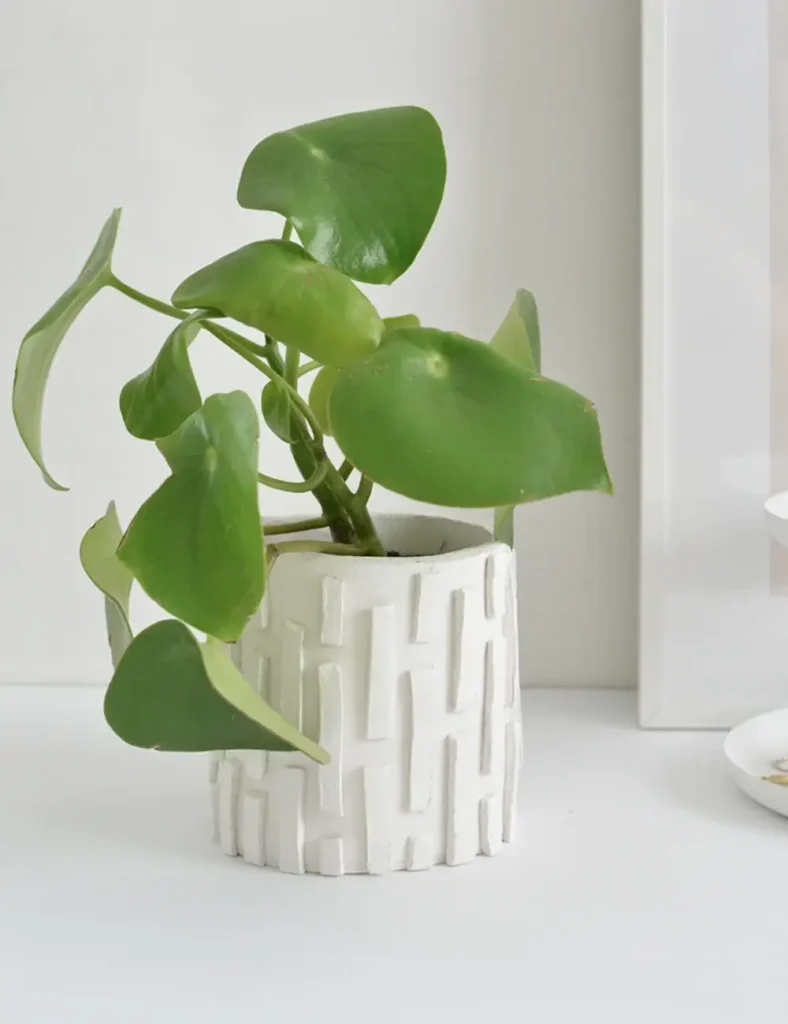DIY textured clay planter