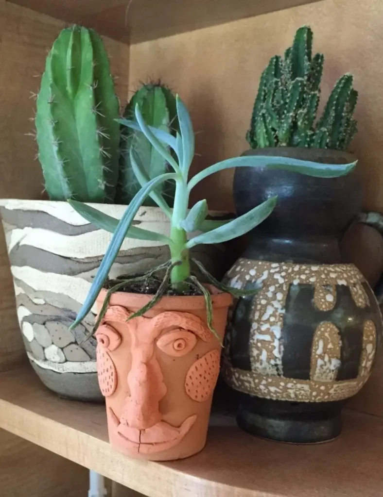 Sculptural Face Clay Planter