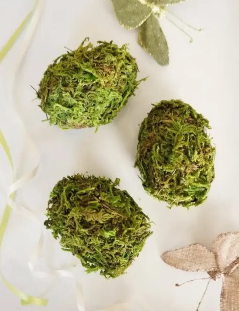 moss-covered eggs