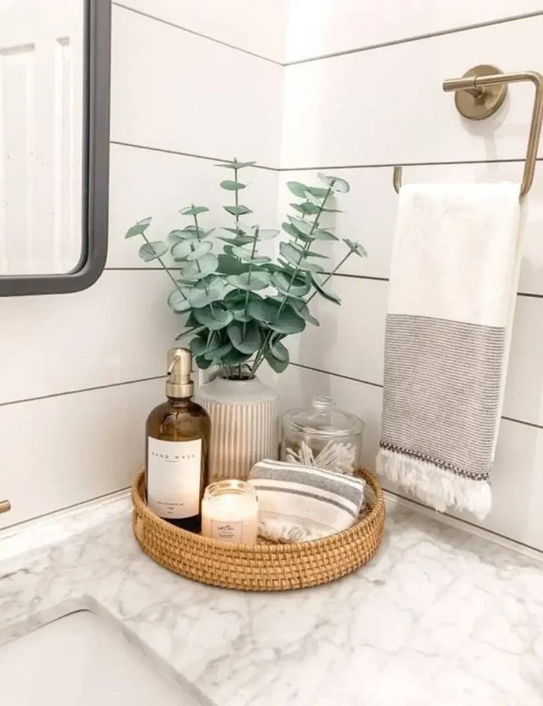 Bathroom Tray Decor Ideas