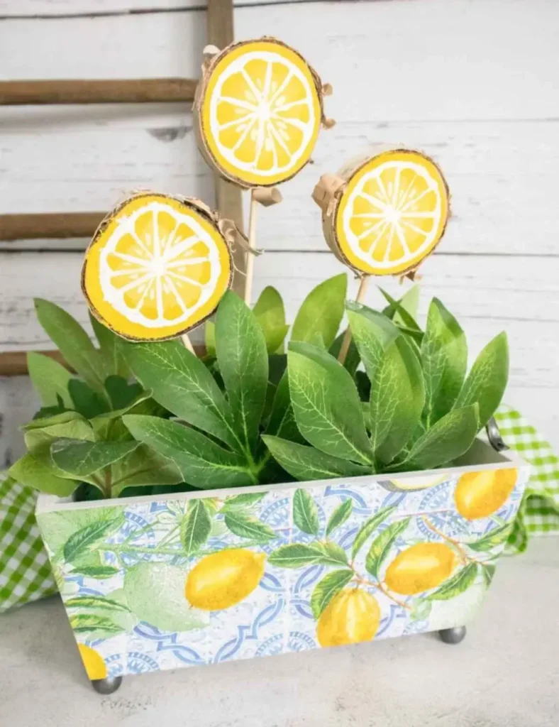 DIY Lemon planter