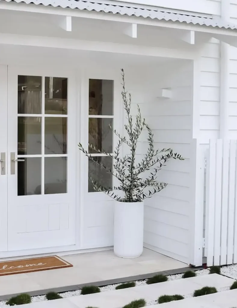 Front Porch Planter Ideas