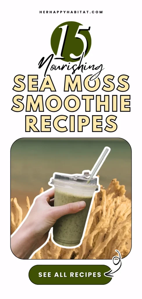 SEA MOSS SMOOTHIE RECIPES 1