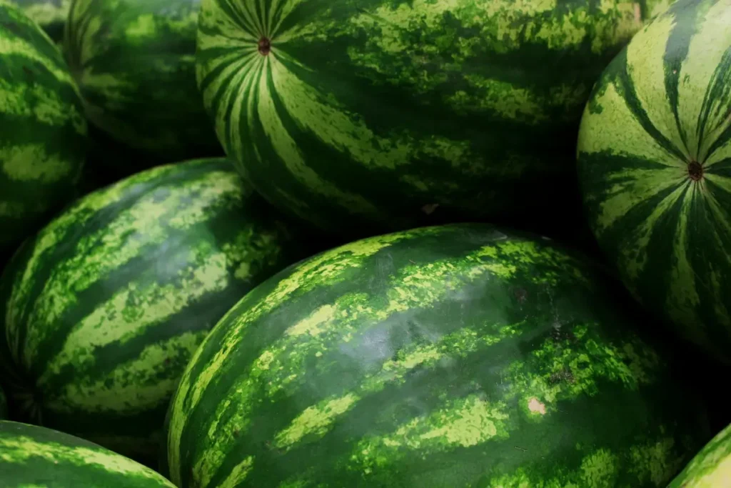 How to Cut a Watermelon
