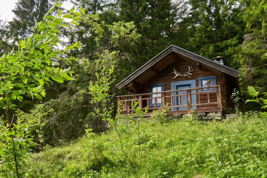 Charming rustic wooden cabin nestled in a lush green forest in Krøderen, Norway. Funny House Names