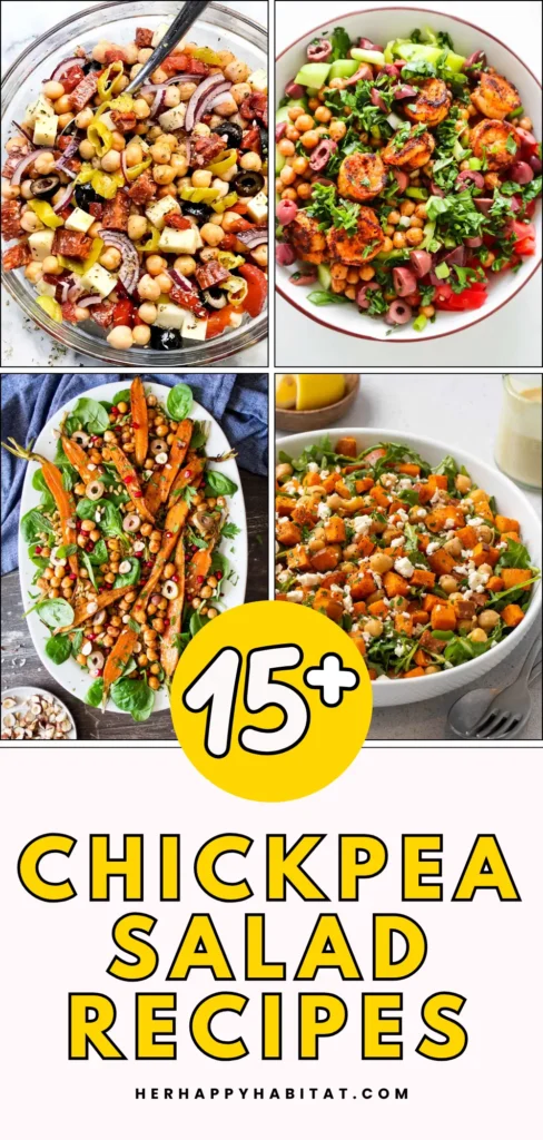 Chickpea Salad Recipes (2)