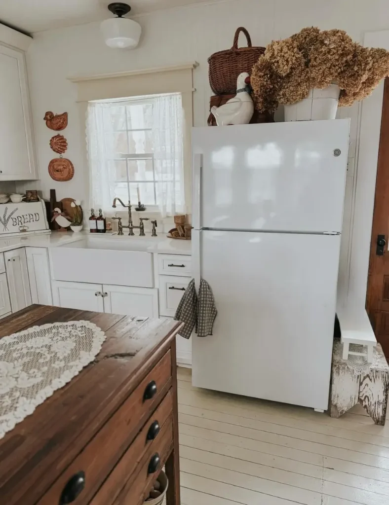 Top of Fridge Decor Ideas
