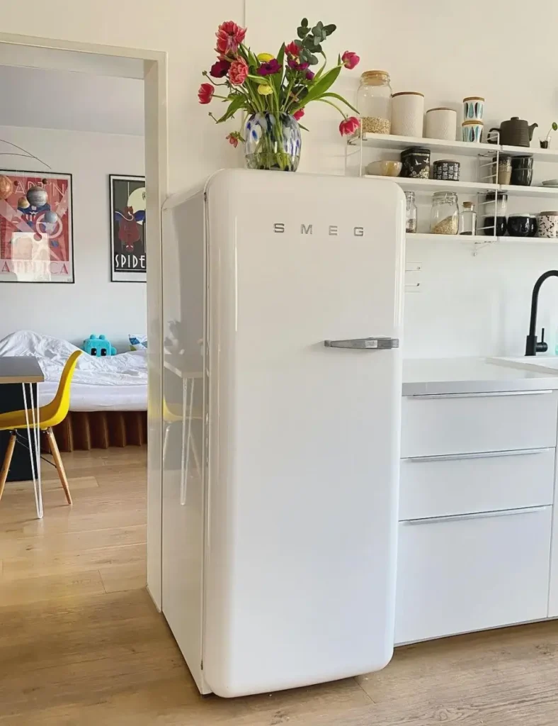 Top of Fridge Decor Ideas