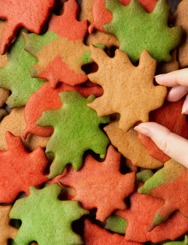 Overhead shot of maple leaf shaped sugar cookies in red, green, and orange, with a hand reaching to pick one up.