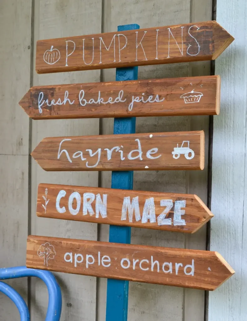 DIY Fall Signs