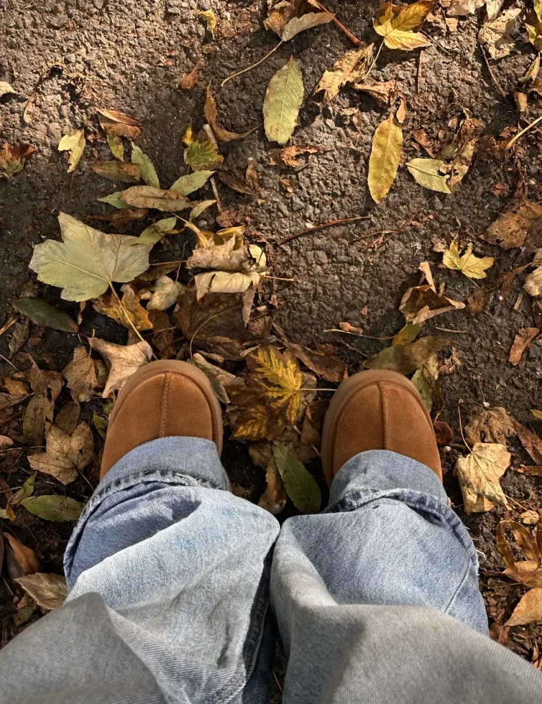 Overhead view of brown suede boots and light blue jeans standing on damp pavement covered in yellow and brown fallen leaves