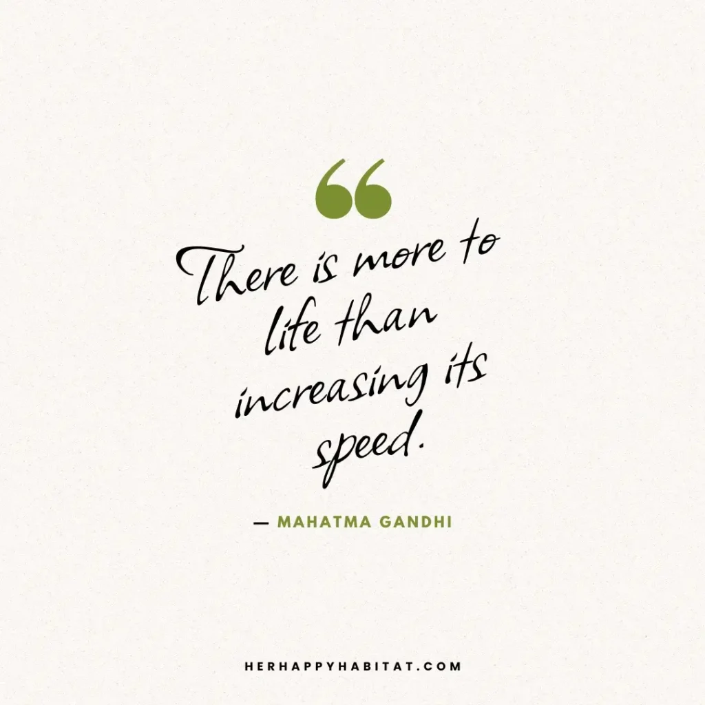 There is more to life than increasing its speed. Quotes