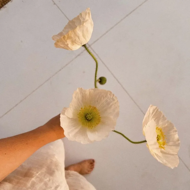 Woman in a linen dress holding white poppy flowers, capturing a slow living moment at home