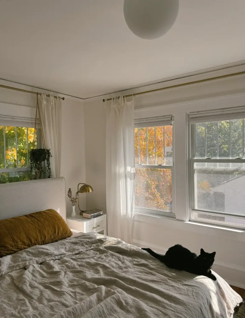 unlit bedroom with rust linen pillow, neutral bedding, sheer curtains and a black cat lying near windows showing fall foliage