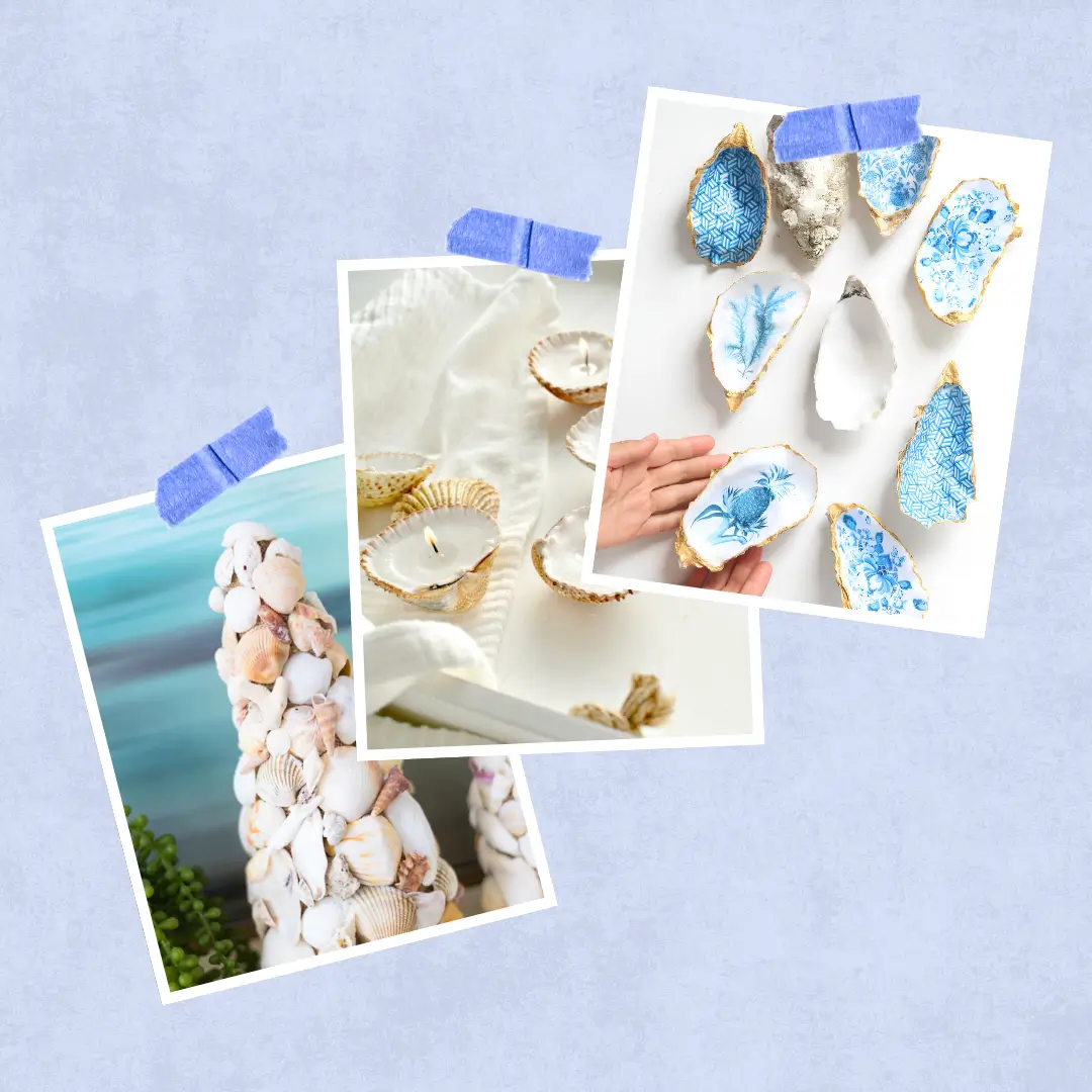 Seashell Crafts for Adults