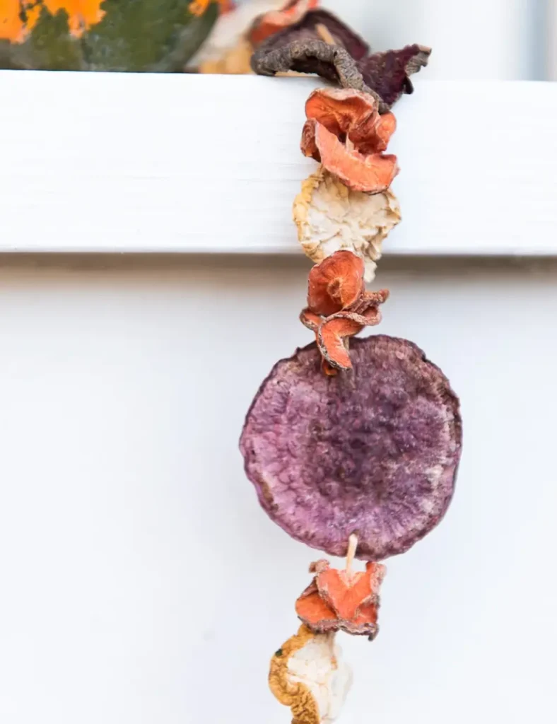 Fall garland made from dried root vegetable slices, including orange carrot, purple beet and white daikon, strung on thread