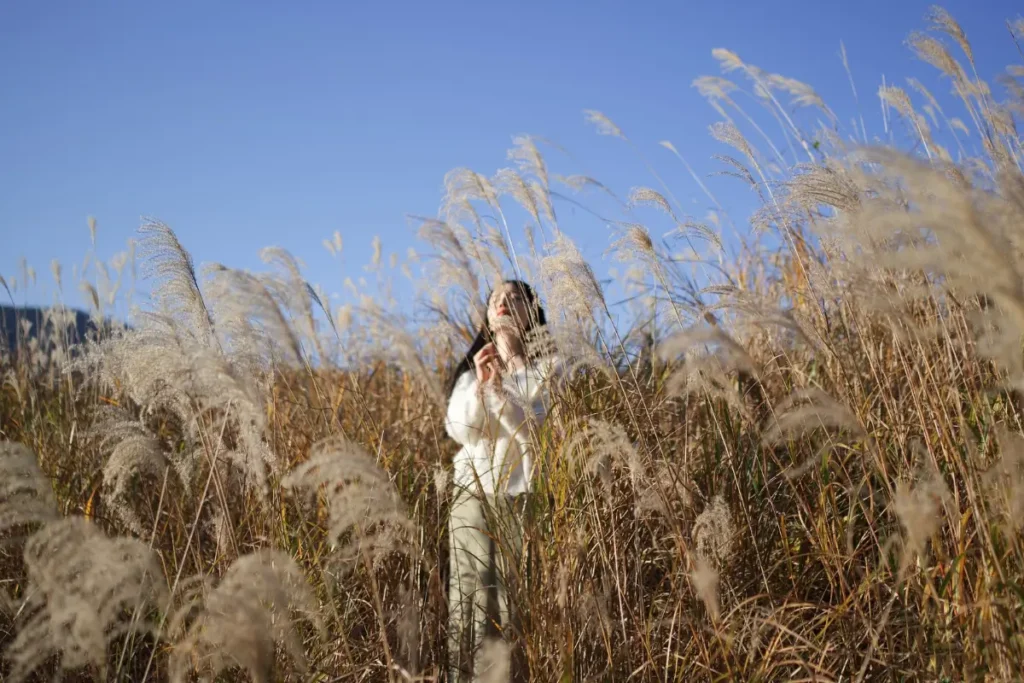 Serene scene of a woman standing amidst tall pampas grass in Atami, Japan, under a clear blue sky