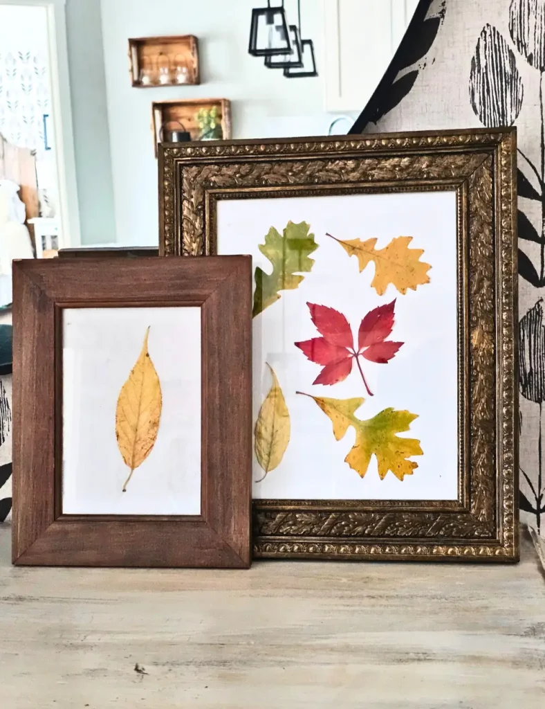 Two framed pressed leaf displays, one with a single yellow leaf in a wooden frame and one with red, yellow and green fall leaves in an ornate gold frame.